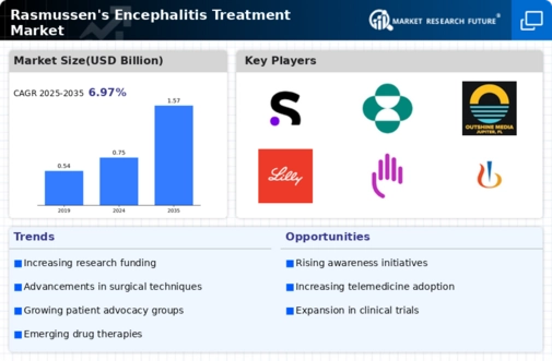 Rasmussens Encephalitis Treatment Market Infographic