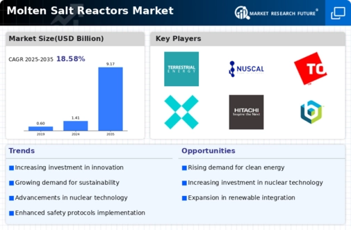 Molten Salt Reactors Market Infographic