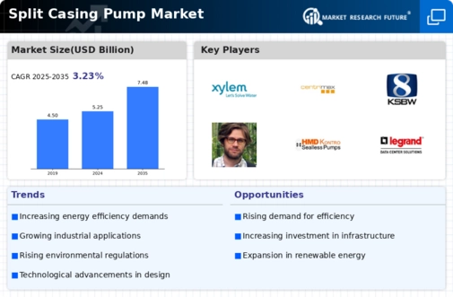 Split Casing Pump Market Infographic