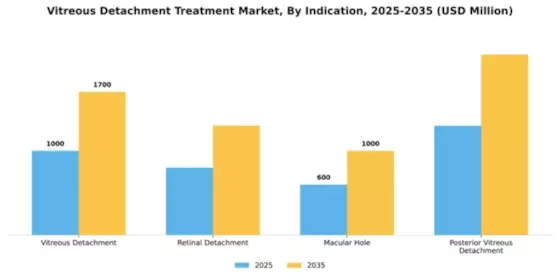 Vitreous Detachment Treatment Market Segment Image 1