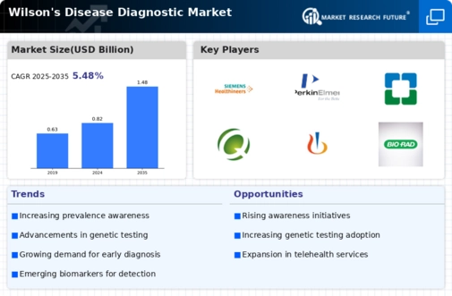 Wilsons Disease Diagnostic Market Infographic