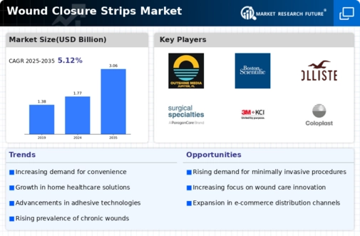Wound Closure Strips Market Infographic