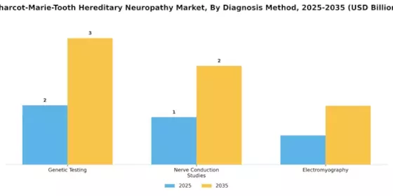 Charcot Marie Tooth Hereditary Neuropathy Market Segment Image 1