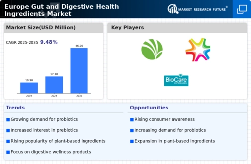 Europe Gut Digestive Health Ingredients Market Infographic