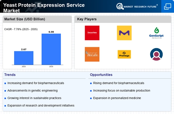 Yeast Protein Expression Service Market Infographic