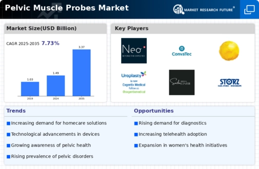 Pelvic Muscle Probes Market Infographic