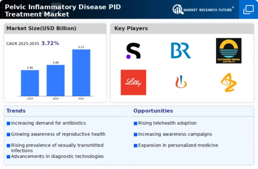 Pelvic Inflammatory Disease Treatment Market Infographic