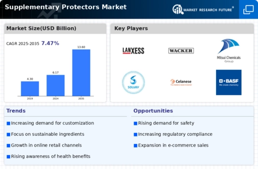 Supplementary Protectors Market Infographic
