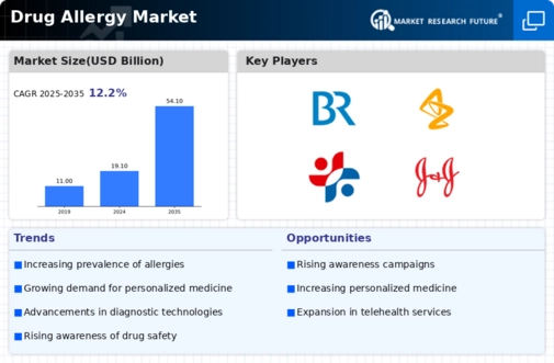 Drug Allergy Market Infographic