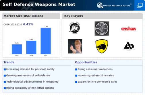 Self Defense Weapons Market Infographic