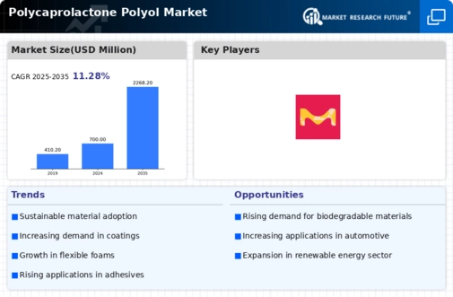 Polycaprolactone Polyol Market Infographic