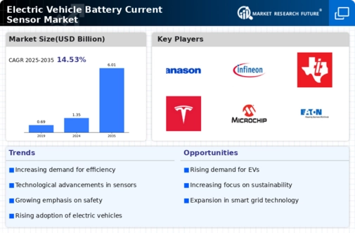 Electric Vehicle Battery Current Sensor Market Infographic