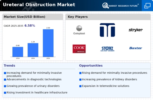 Ureteral Obstruction Market Infographic