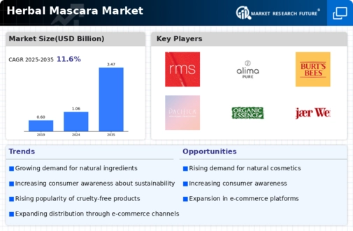 Herbal Organic Mascara Market Infographic