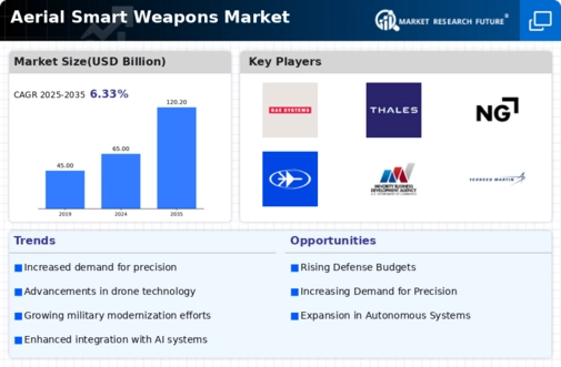 Aerial Smart Weapons Market Infographic