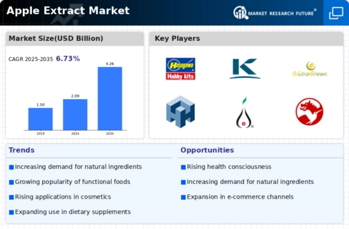 Apple Extract Market Infographic