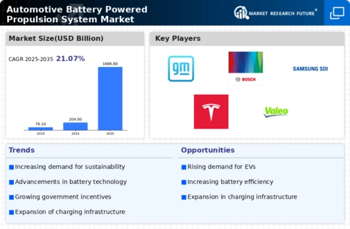 Automotive Battery Powered Propulsion System Market Infographic