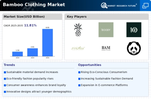 Bamboo Clothing Market Infographic