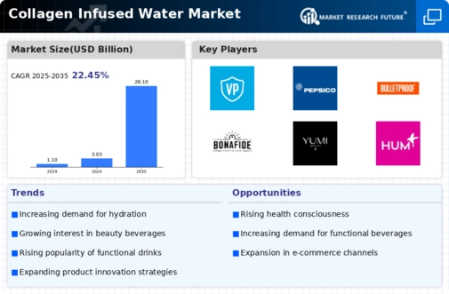 Collagen Infused Water Market Infographic