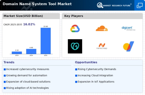 Domain Name System Tool Market

 Infographic