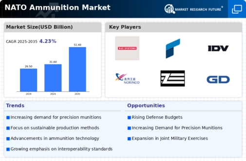Nato Ammunition Market Infographic