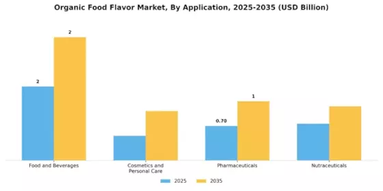 Organic Food Flavor Market Segment Image 0