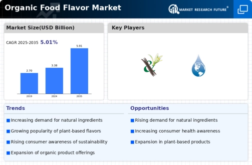 Organic Food Flavor Market Infographic