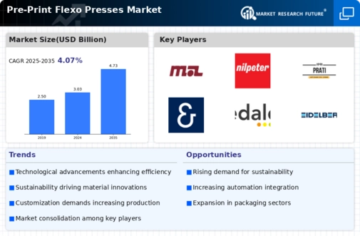 Pre Print Flexo Presses Market Infographic