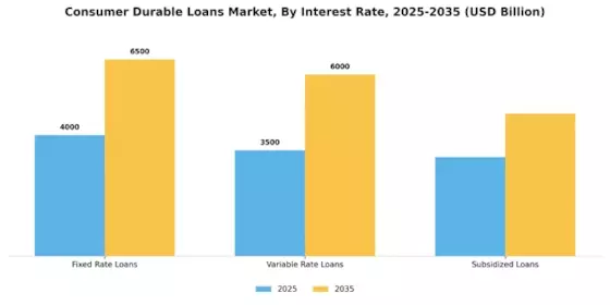 Consumer Durable Loans Market Segment Image 0
