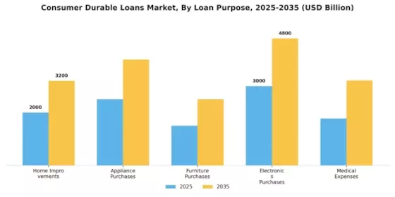 Consumer Durable Loans Market Segment Image 1