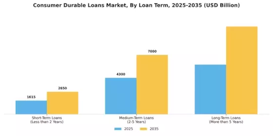 Consumer Durable Loans Market Segment Image 2