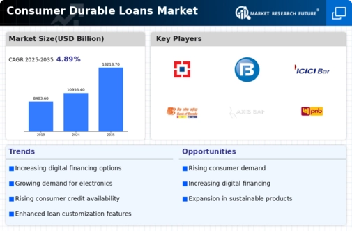 Consumer Durable Loans Market Infographic