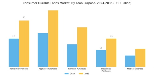 Consumer Durable Loans Market Segment Image 1