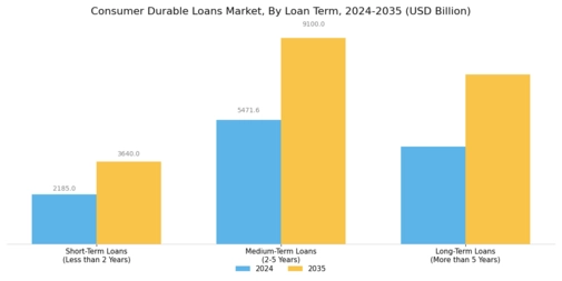 Consumer Durable Loans Market Segment Image 3