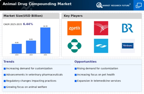 Animal Drug Compounding Market Infographic