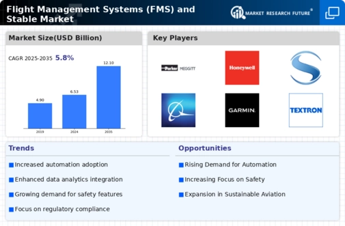Flight Management Systems FMS And Stable Market
 Infographic