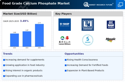 Food Grade Calcium Phosphate Market Infographic