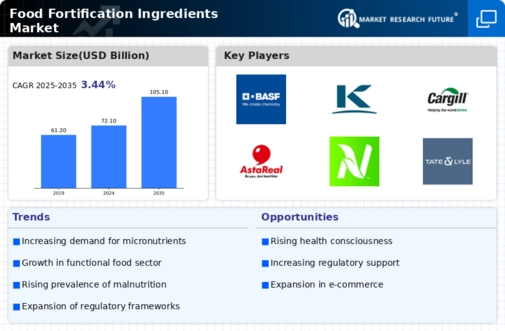 Food Fortification Ingredients Market Infographic