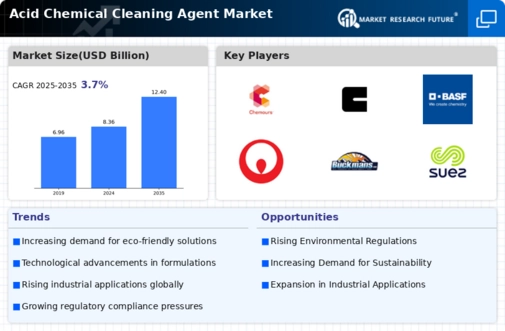 Acid Chemical Cleaning Agent Market Infographic