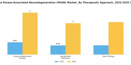 Pantothenate Kinase Associated Neurodegeneration Market
 Segment Image 3