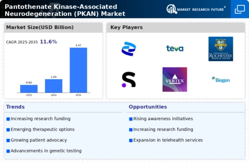 Pantothenate Kinase Associated Neurodegeneration Market
 Infographic