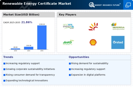 Renewable Energy Certificate Market Infographic