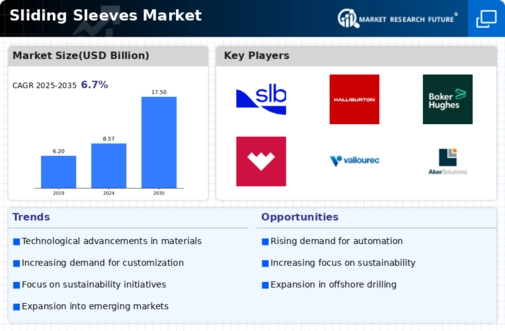 Sliding Sleeves Market Infographic
