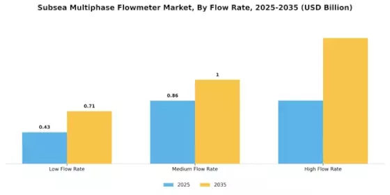 Subsea Multiphase Flowmeter Market Segment Image 1