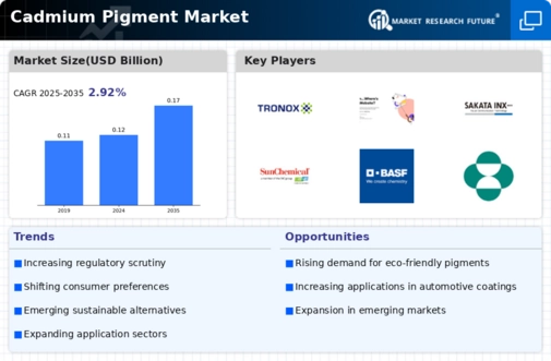 Cadmium Pigment Market
 Infographic