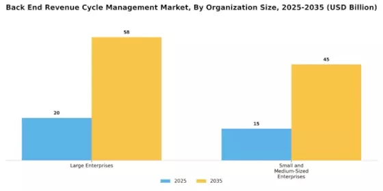 Back End Revenue Cycle Management Market Segment Image 4