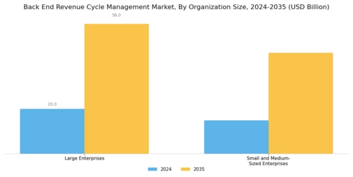 Back End Revenue Cycle Management Market Segment Image 4