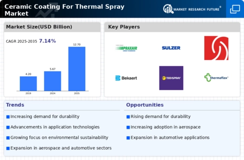 Ceramic Coating For Thermal Spray Market Infographic