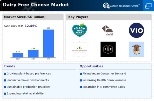 Dairy Free Cheese Market Infographic