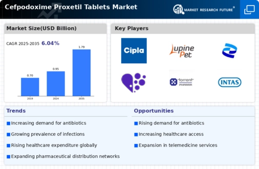 Cefpodoxime Proxetil Tablets Market Infographic